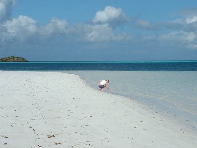 Katy Collecting Shells